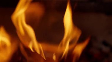 Şöminede yakacak odun ve kömür yanıyor. Yüksek kalite 4k görüntü