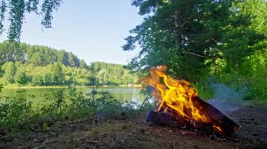 Ormanda kamp ateşi. Yüksek kalite 4k görüntü