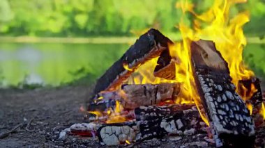 Ormanda kamp ateşi. Yüksek kalite 4k görüntü