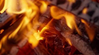 Şöminede yakacak odun ve kömür yanıyor. Yüksek kalite 4k görüntü