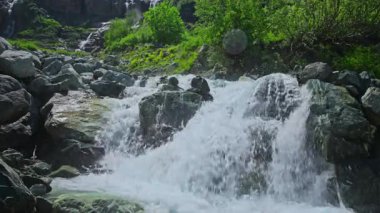 Dağ nehrindeki su akıntısı. Yüksek kalite 4k görüntü