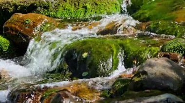 Bir yaz gününde dağ nehri. Yüksek kalite 4k görüntü