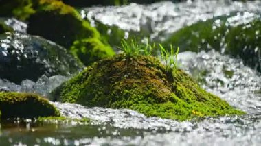 Bir dağ nehri yakından çekilmiş. Yüksek kalite 4k görüntü