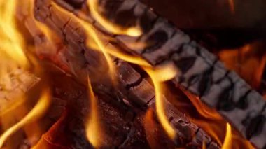 Şöminede yakacak odun ve kömür yanıyor. Yüksek kalite 4k görüntü