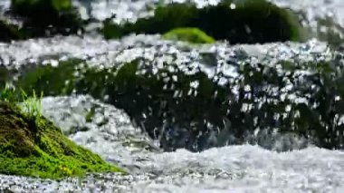 Bir dağ nehri yakından çekilmiş. Yüksek kalite 4k görüntü