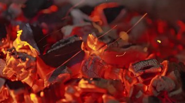 Parlayan közlerin yavaş çekimleri. Yüksek kalite 4k görüntü