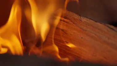 Şöminede odun yanıyor. Yüksek kalite 4k görüntü