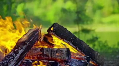 Ormanda kamp ateşi. Yüksek kalite 4k görüntü