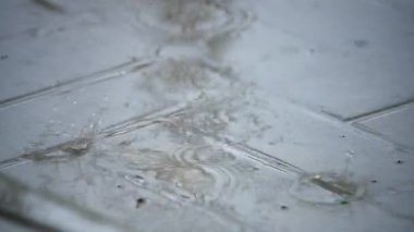 Yağmur damlaları kaldırıma düşer. Yüksek kalite 4k görüntü