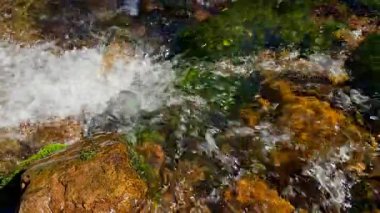 Bir yaz gününde dağ nehri. Yüksek kalite 4k görüntü