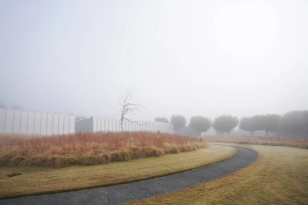 Осенние Цвета Туман Музее Искусств Роли — стоковое фото