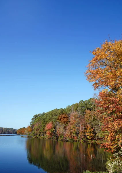 Herbstlaub Lake Johnson Einem Beliebten Stadtpark Raleigh — Stockfoto
