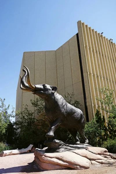 Denver Usa 2022 Posąg Słonia Przed Denver Museum Nature Science — Zdjęcie stockowe