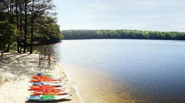 Colorful Kayaks Shore Lake Johnson Popular City Park Raleigh North — Stockfoto