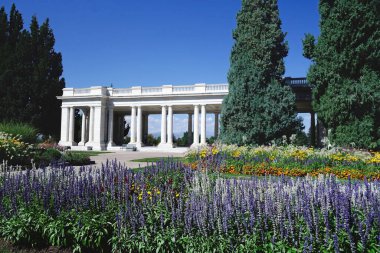 Denver Colorado 'daki Satranç Parkı' nda çiçek açtı.