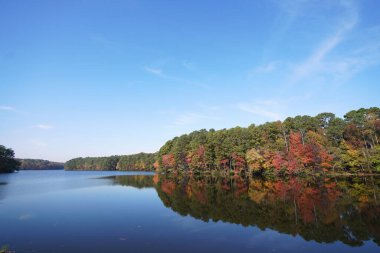 Johnson Gölü 'nde sonbahar yeşilliği. Raleigh, NC' de popüler bir şehir parkı.