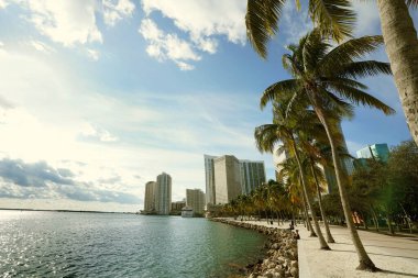 Miami şehir merkezindeki Biscayne Körfezi boyunca Bayfront Park 'ta yürüyüş yolu. 