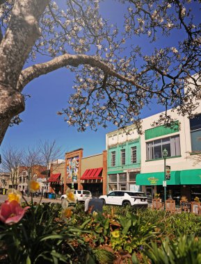 Hendersonville, NC - ABD - 03-21-2025: Hendersonville Kuzey Carolina şehir merkezindeki yerel perakende mağazaları