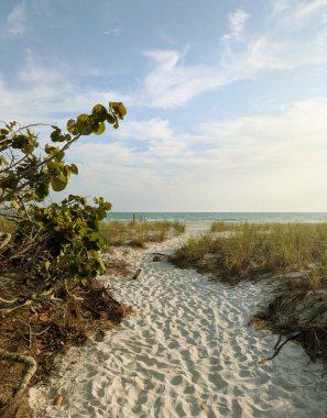 Okyanusa giden sahil yolu Bradenton Florida 'daki Anna Maria Adası' nda.