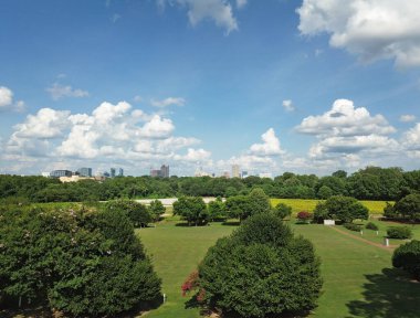 Sağdaki yaz ayçiçeği tarlasının manzarası, Dix Park 'ta Raleigh NC şehir merkezindeki ufuk çizgisi