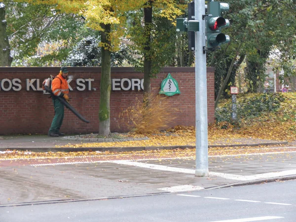 Hamburg Alemanha Circa Novembro 2016 Retirar Folhas Pavimento Outono — Fotografia de Stock