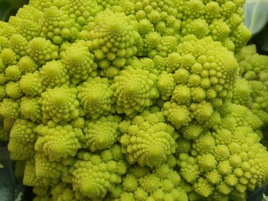 Romanesco brokoli bilimsel adı Brassica oleracea namı diğer Romanesk karnabahar veya Buzzy Broc vejetaryen yiyeceği