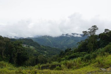 Sabah, Malezya. 19 Kasım 2022. Kundasang, Sabah, Malezya manzarası. Kundasang, Sabah 'ın en ünlü turistik yerlerinden biridir. 