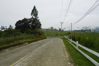 Sabah, Malezya-19 Kasım 2022; Malezya 'nın Kundasang, Sabah, Malezya' da bulunan Desa Süt Çiftliği panoramik görünümü