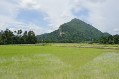 Baling, Kedah, Malezya 'daki Gunung Pulai veya Pulai Dağı manzarası