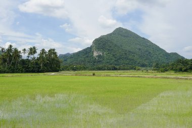 Baling, Kedah, Malezya 'daki Gunung Pulai veya Pulai Dağı manzarası