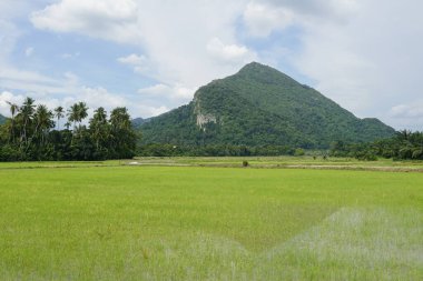 Baling, Kedah, Malezya 'daki Gunung Pulai veya Pulai Dağı manzarası
