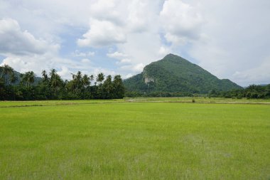 Baling, Kedah, Malezya 'daki Gunung Pulai veya Pulai Dağı manzarası