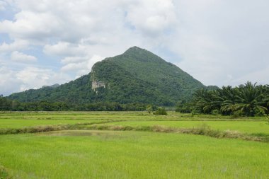 Baling, Kedah, Malezya 'daki Gunung Pulai veya Pulai Dağı manzarası