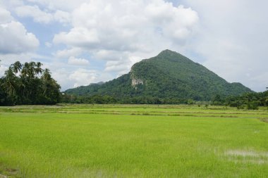 Baling, Kedah, Malezya 'daki Gunung Pulai veya Pulai Dağı manzarası