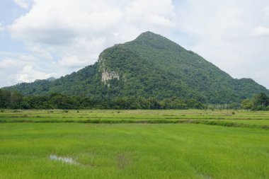 Baling, Kedah, Malezya 'daki Gunung Pulai veya Pulai Dağı manzarası