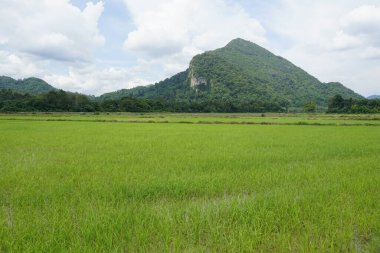 Baling, Kedah, Malezya 'daki Gunung Pulai veya Pulai Dağı manzarası