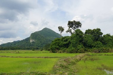 Baling, Kedah, Malezya 'daki Gunung Pulai veya Pulai Dağı manzarası