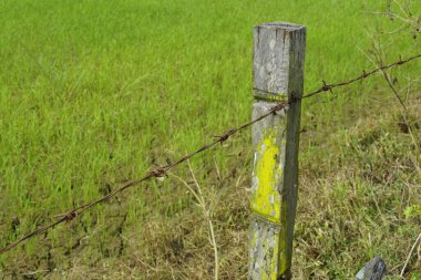 Tarım köyündeki çit manzarası