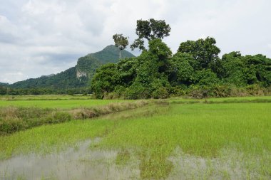 Baling, Kedah, Malezya 'daki Gunung Pulai veya Pulai Dağı manzarası