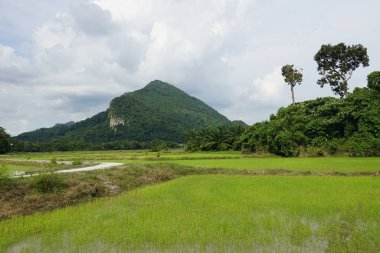 Baling, Kedah, Malezya 'daki Gunung Pulai veya Pulai Dağı manzarası