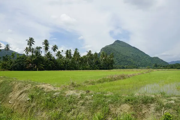 Widok Gunung Pulai Lub Pulai Mount Położony Baling Kedah Malezja — Zdjęcie stockowe