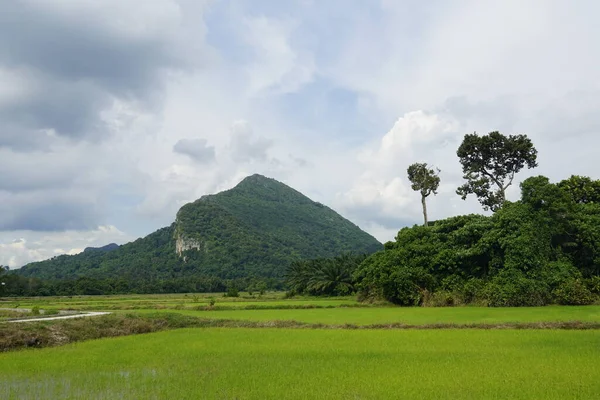 位于马来西亚凯达Baling的Gunung Pulai或Pulai Mount — 图库照片