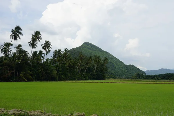Vista Gunung Pulai Pulai Mount Localizado Baling Kedah Malásia — Fotografia de Stock