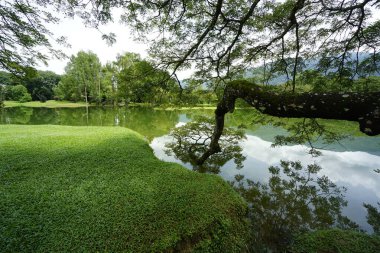 Taiping Gölü Bahçesi, Perak, Malezya manzarası