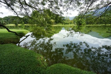 Taiping Gölü Bahçesi, Perak, Malezya manzarası