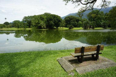 Taiping Gölü Bahçesi, Perak, Malezya manzarası