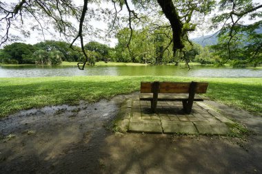 Taiping Gölü Bahçesi, Perak, Malezya manzarası