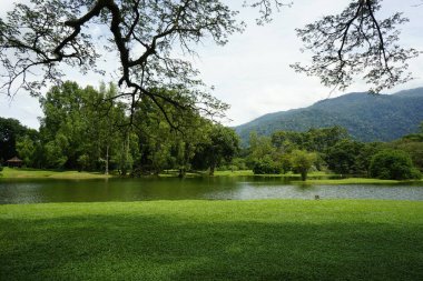 Taiping Gölü Bahçesi, Perak, Malezya manzarası