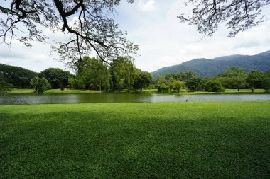 Taiping Gölü Bahçesi, Perak, Malezya manzarası