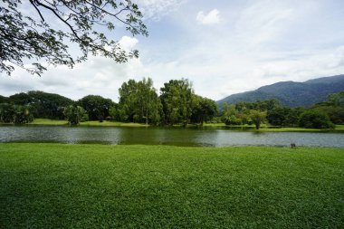 Taiping Gölü Bahçesi, Perak, Malezya manzarası
